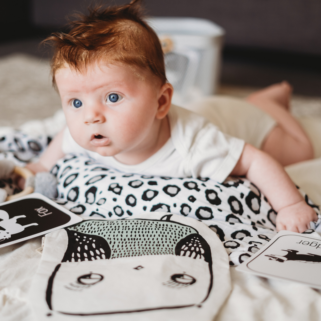 A baby practicing tummy time with the items from their newborn sensory box from their Baby's First Year Subscription package - Toys showing are a wee gallery crinkle toy, a printed mulsin and baby high contrast woodland visual cards.